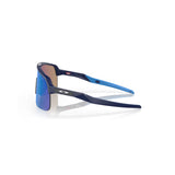 "Gafas de sol modernas con lentes de una sola pieza y montura azul: Combinan elegancia y practicidad, ideales para cualquier actividad al aire libre."