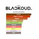 "descripcion de notas olfativas de la blackoud amber "