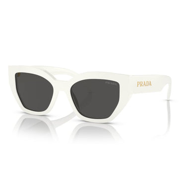 Gafas Prada PRA09S1425S053